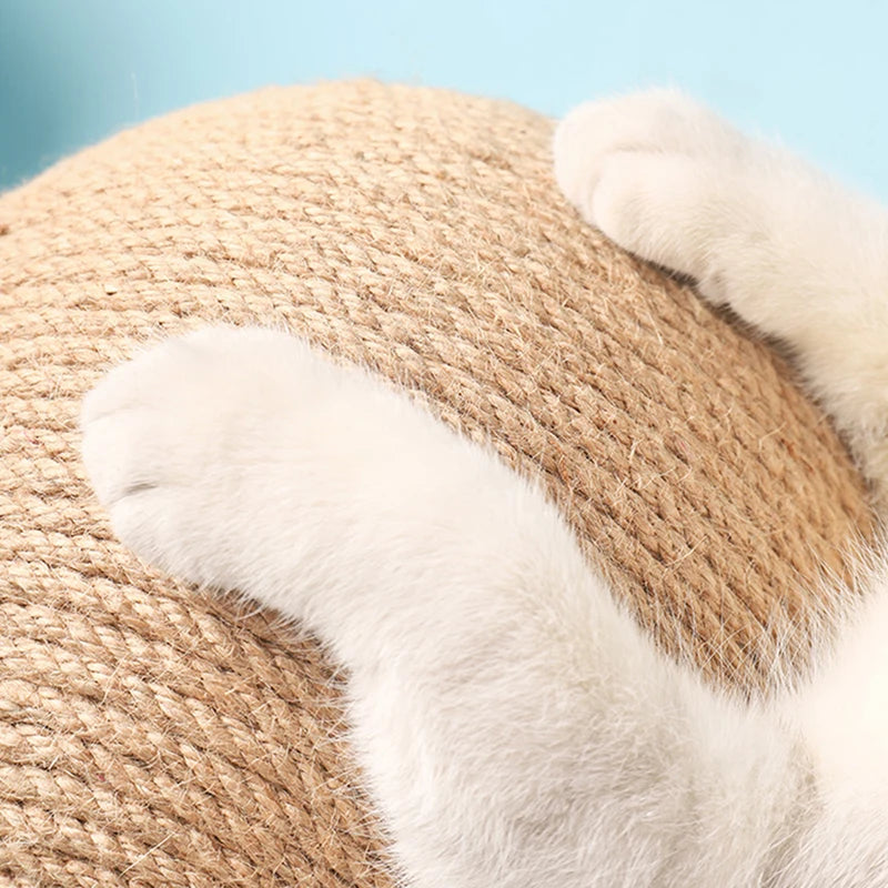 Cat Scratchball