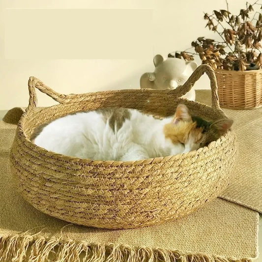 Myaaliyah universal 4 seasons Katzenbett